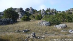 Plateau - causses du Larzac - Ferme des Tourelles