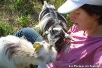 HERMIONE - FLORIA (chèvres toys des Tourelles) et moi 