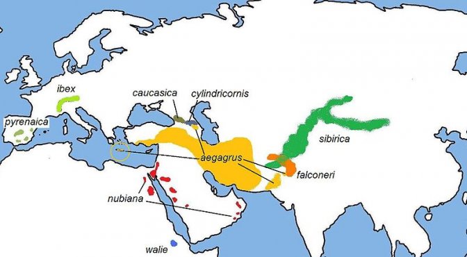 Carte origines chèvres